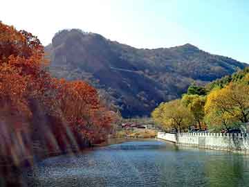 新澳天天开奖资料大全旅游团，黑色星期五鬼故事